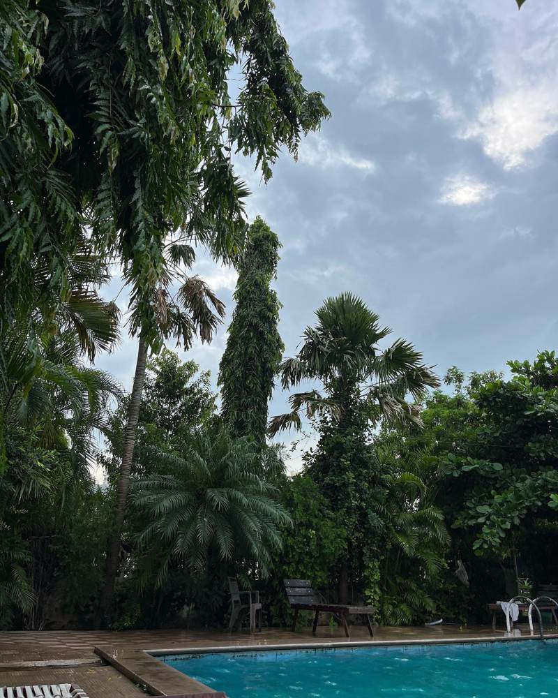 After the monsoon rain
